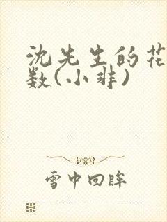 沈先生的花式调数(小非)