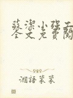 苏洁小强工地情全文免费阅读