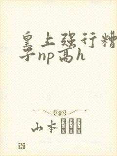 皇上强行糟蹋太子np高h