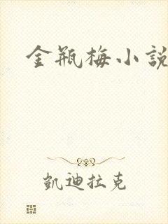 金瓶梅小说下载