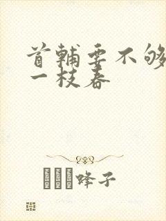 首辅要不够po一枝春