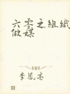 六零之组织给我做媒