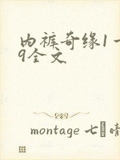 内裤奇缘1一39全文