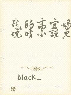 我的高官妈妈苏晚晴小说免费阅读