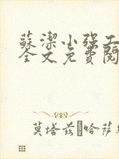 苏洁小强工地情全文免费阅读