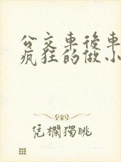 公交车后车座的疯狂的做小