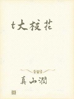 t大校花