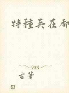 特种兵在都市