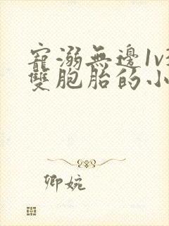 宠溺无边1v3双胞胎的小说