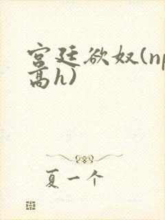 宫廷欲奴(np高h)