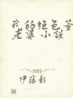 我的绝色董事长老婆 小说