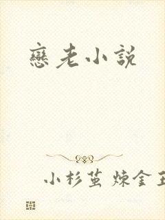恋老小说