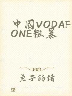 中国VODAFONE粗暴