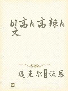 bl高h高辣h文