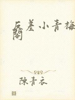 反差小青梅笔趣阁