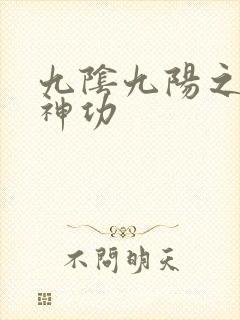 九阴九阳之阴阳神功