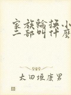 家族轮换小说第二部叫什么名字