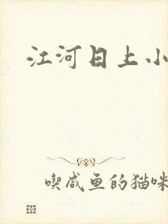 江河日上小说