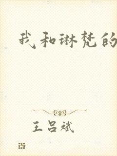 我和琳梵的故事