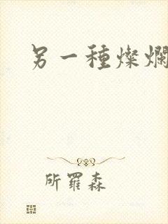 另一种灿烂生活