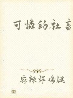 可怜的社畜小说