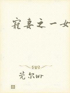 宠妻之一女二夫