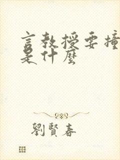 言教授要撞坏了是什么