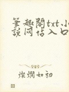 笔趣阁txt小说网站入口