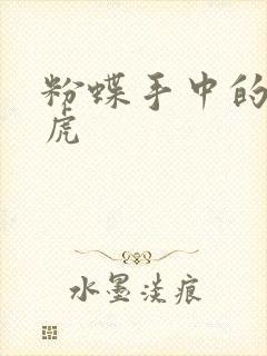 粉蝶手中的纸老虎