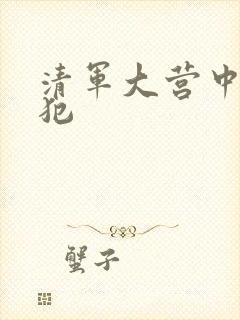 清军大营中的女犯