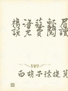 杨洛苏轻眉笔小说免费阅读