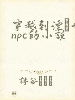 穿越到湮婸世界npc的小说