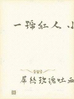 一号红人 小说