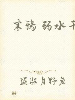 寒鸦 弱水千流