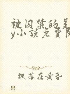 被囚禁的美人by小说免费阅读