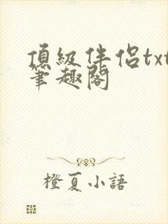 顶级伴侣txt笔趣阁