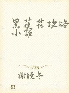 黑莲花攻略手册小说