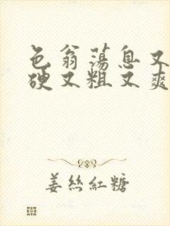 色翁荡息又大又硬又粗又爽