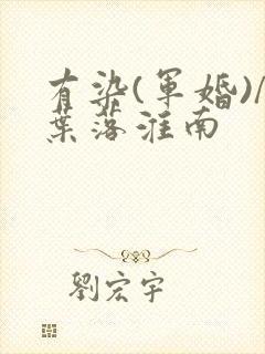 有染(军婚)/叶落淮南