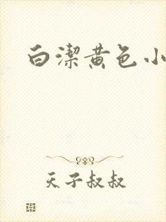 白洁黄色小说