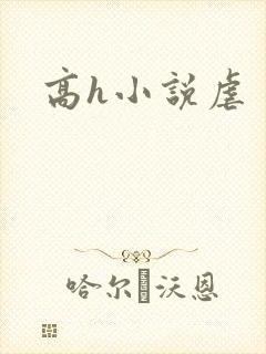 高h小说虐