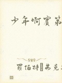 少年啊宾第二部