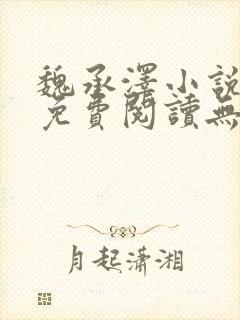 魏承泽小说全文免费阅读无弹窗笔趣