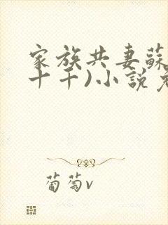 家族共妻苏苏(十千)小说免费