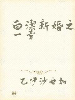 白洁新婚之夜第一章