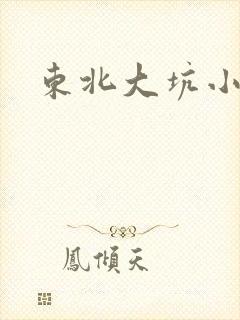东北大坑小说