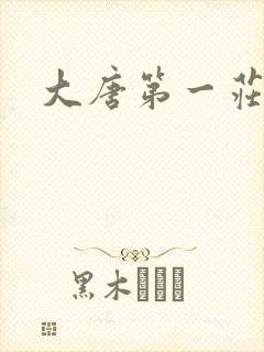 大唐第一庄