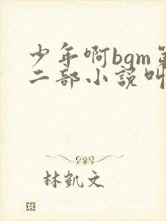 少年啊bgm第二部小说叫什么