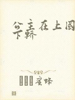 公主在上国师请下轿