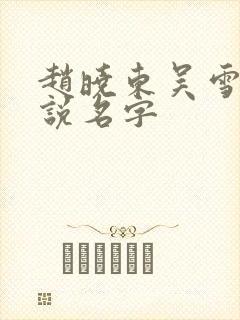 赵晓东吴雪晴小说名字